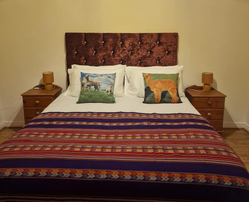 The Alpaca Farmhouse With Hot Tub And Alpaca Experience Included Dromara Exterior foto